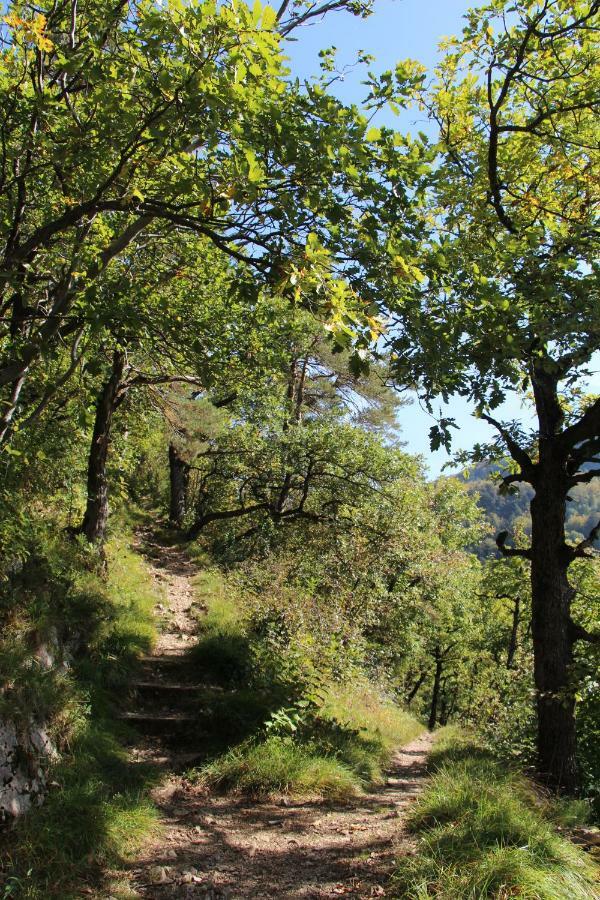 Wandern Und Wohnen Bei Gabriela Daire Waldenburg Dış mekan fotoğraf