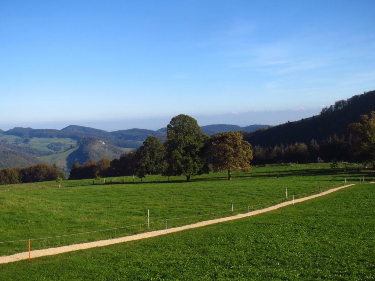 Wandern Und Wohnen Bei Gabriela Daire Waldenburg Dış mekan fotoğraf