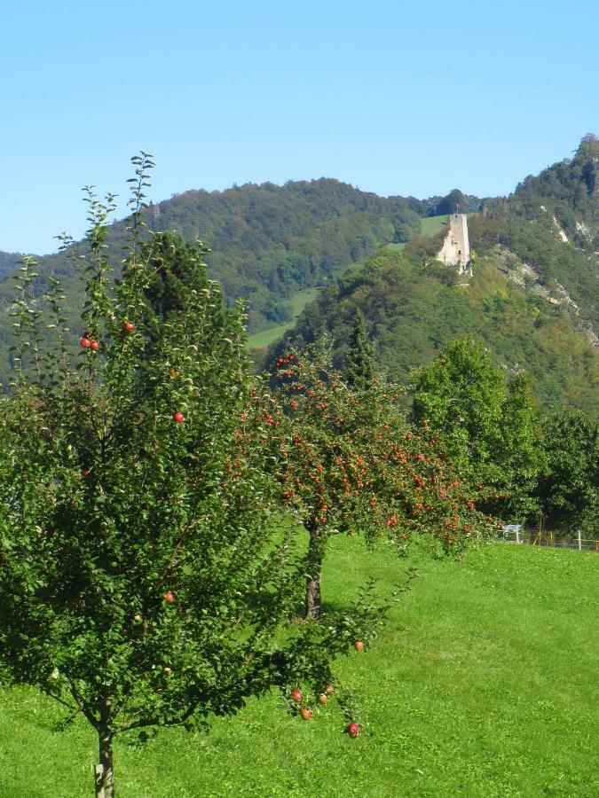 Wandern Und Wohnen Bei Gabriela Daire Waldenburg Dış mekan fotoğraf