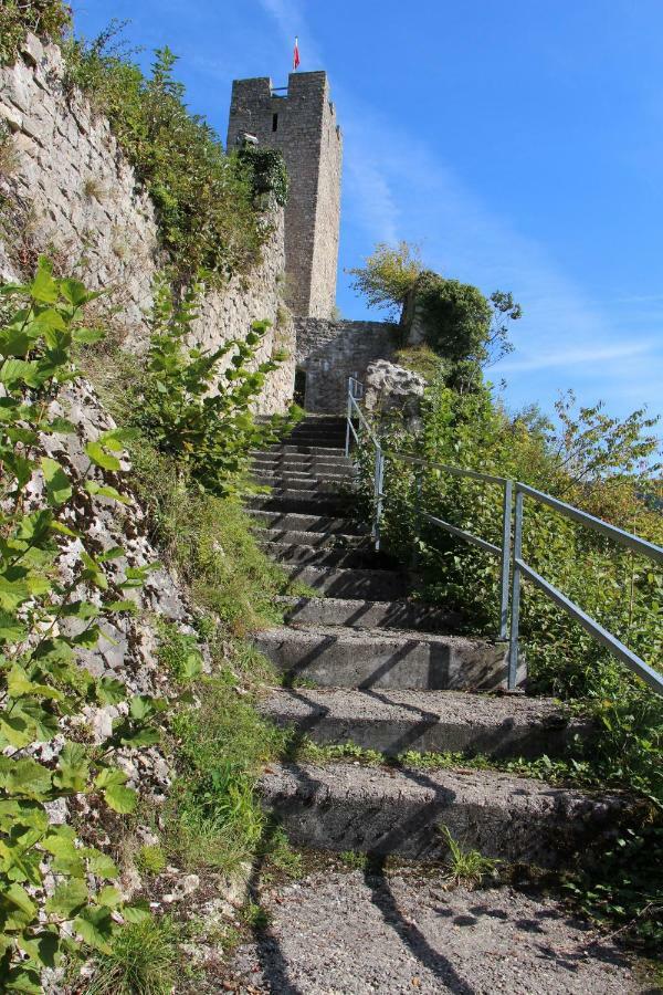 Wandern Und Wohnen Bei Gabriela Daire Waldenburg Dış mekan fotoğraf