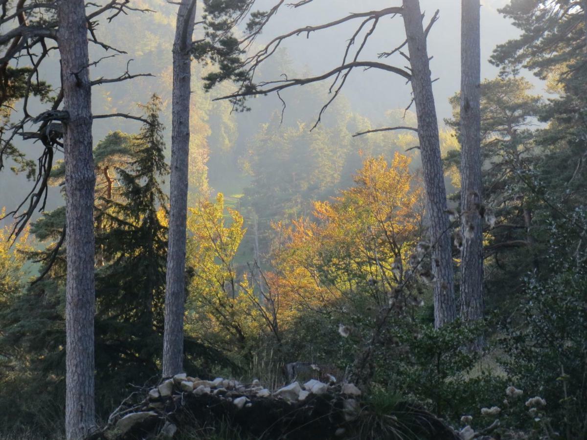 Wandern Und Wohnen Bei Gabriela Daire Waldenburg Dış mekan fotoğraf