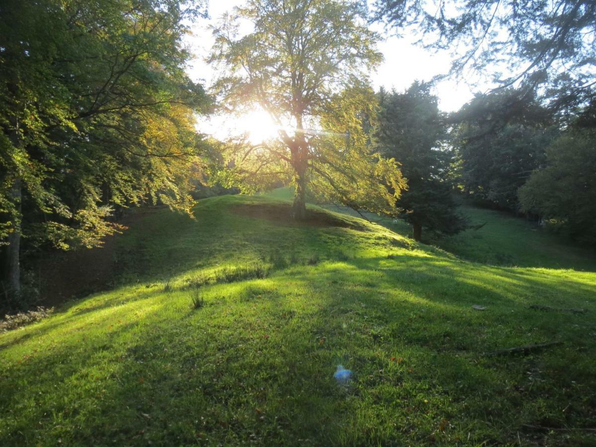 Wandern Und Wohnen Bei Gabriela Daire Waldenburg Dış mekan fotoğraf